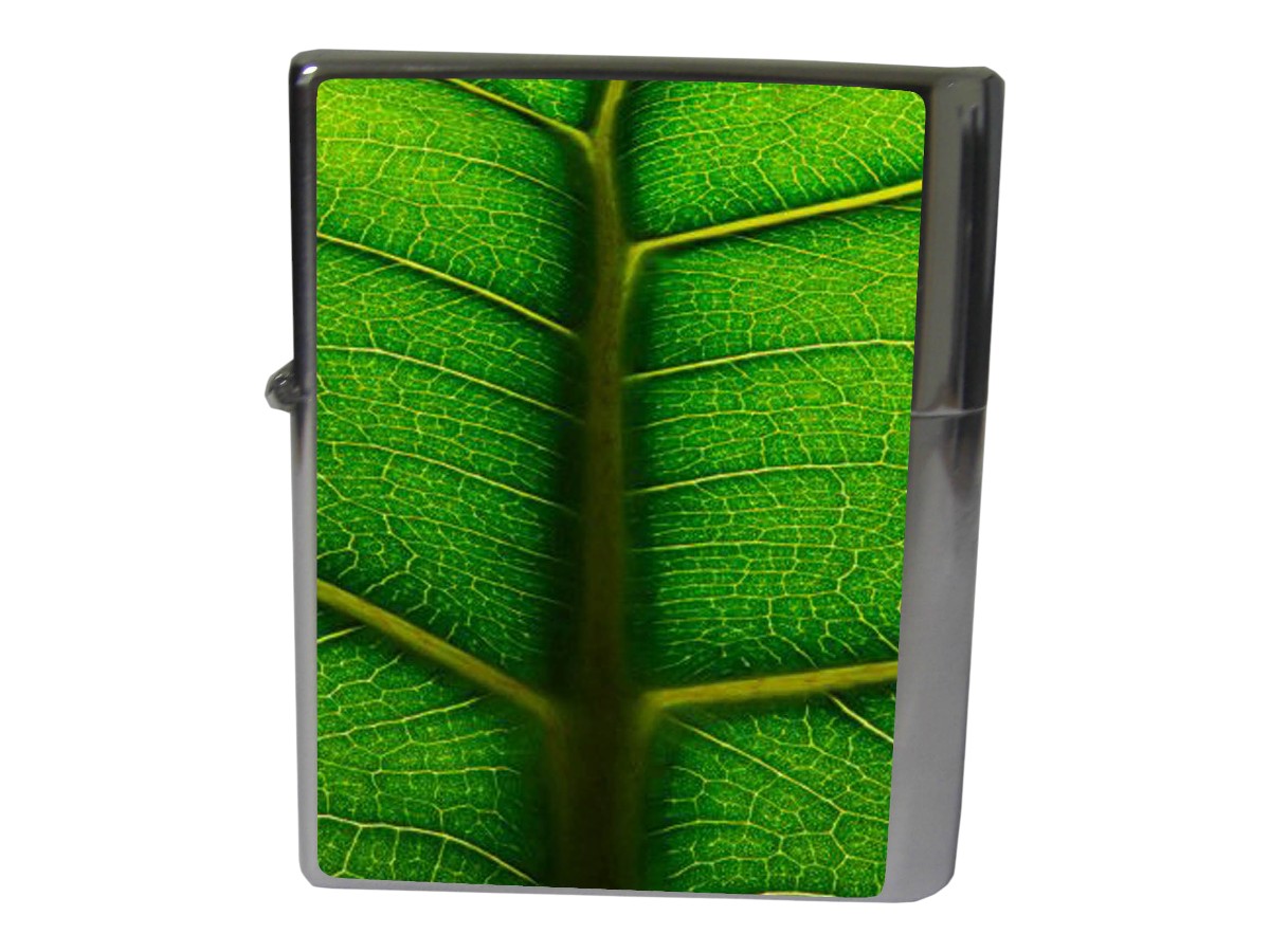 Z-Plus Leaves